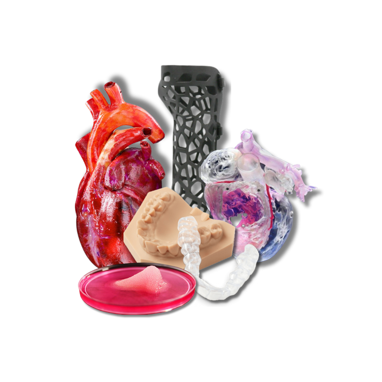 Biomodelos 3D