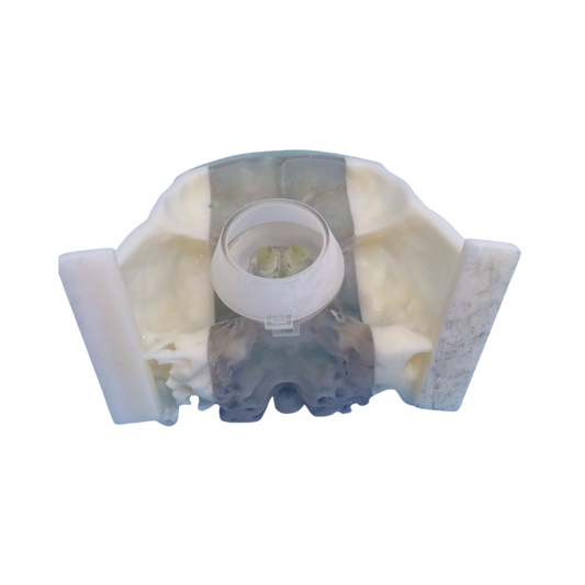 Entrenamiento Médico