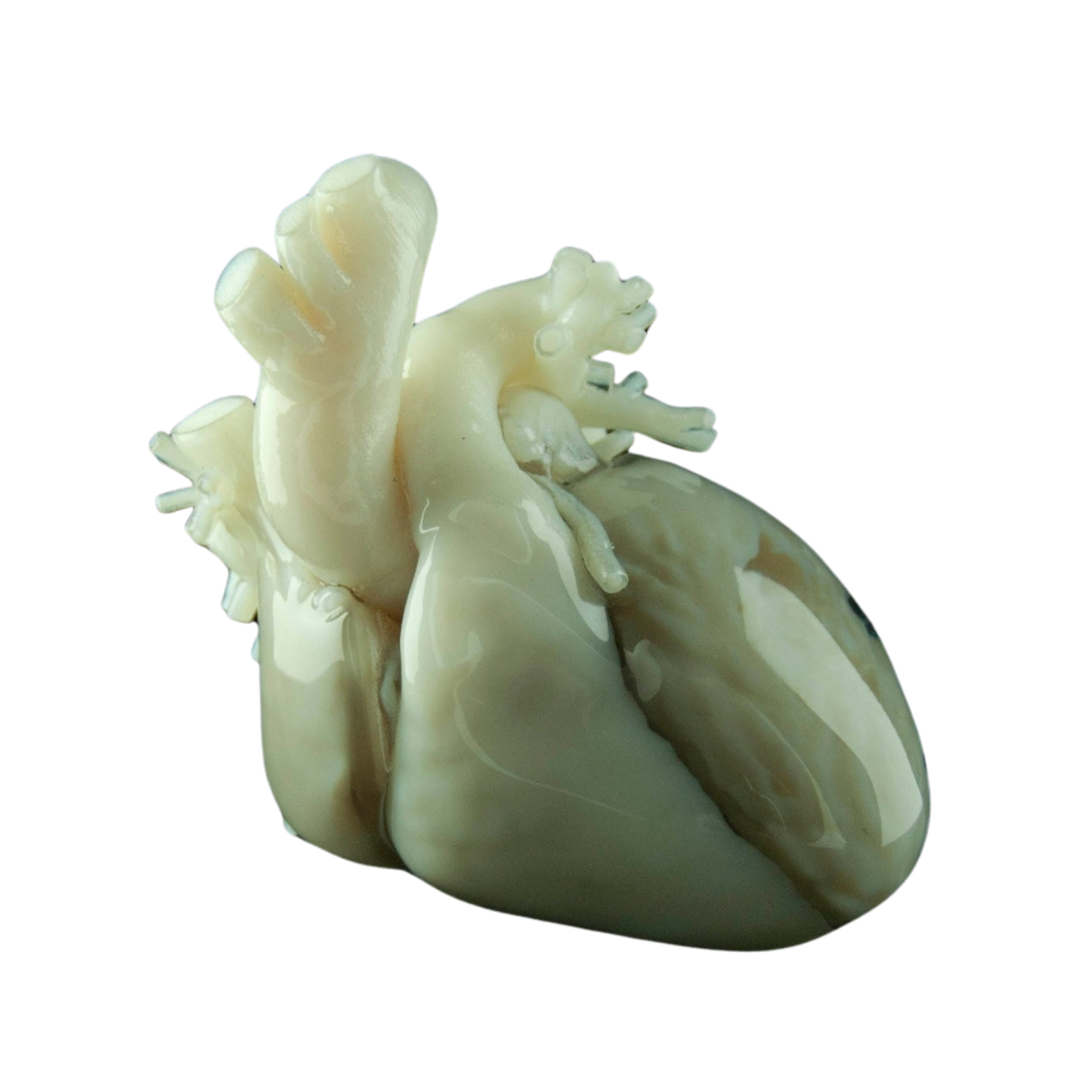 Modelo de Corazón blanco