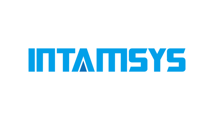 Intamsys