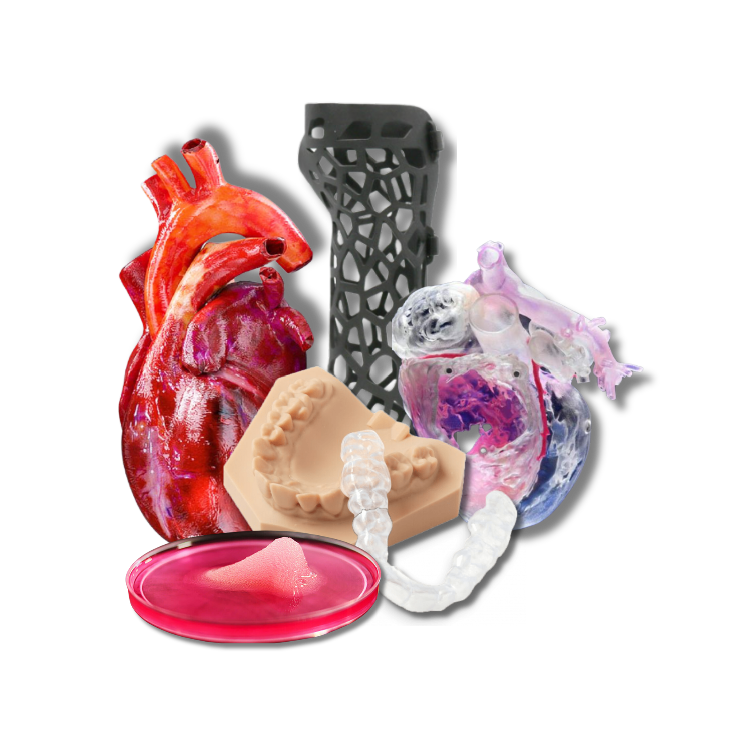 Biomodelos 3D